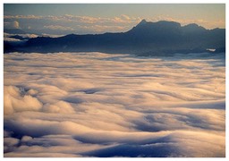 Arthur_Plains_and_Mt_Anne_from_Western_Arthurs