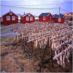 drying cod A
